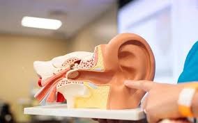 Allied Health Sciences